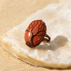 Acacia Seed